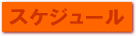 �X�P�W���[��