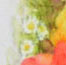 camomile-b