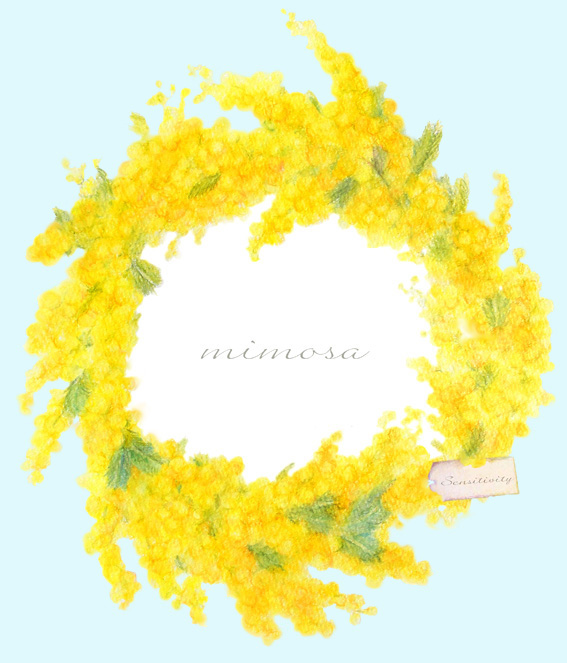 newmimosahp3
