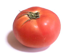 tomato-1