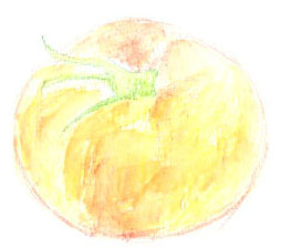 tomato-3