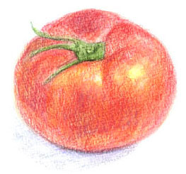 tomato-6